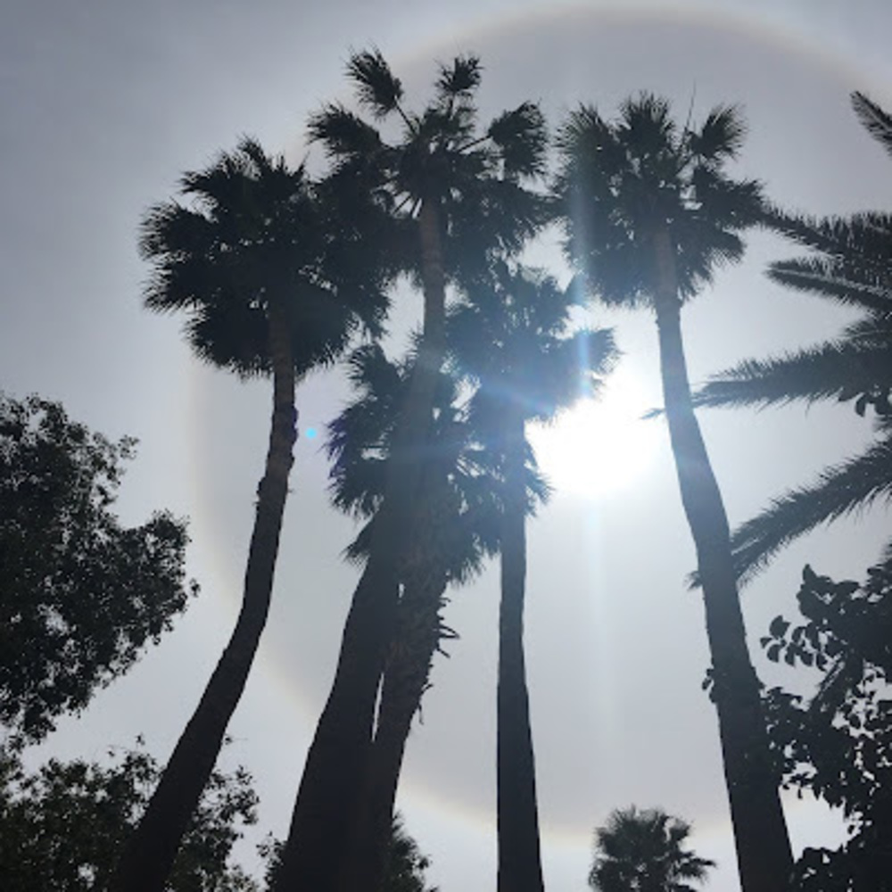 Meet your Posher, Jayli